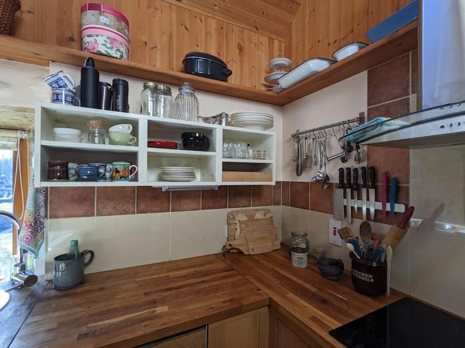 Secluded Private Cottage Hot-Tub, Sauna & Fire-Pit Carrick on Shannon Buitenkant foto