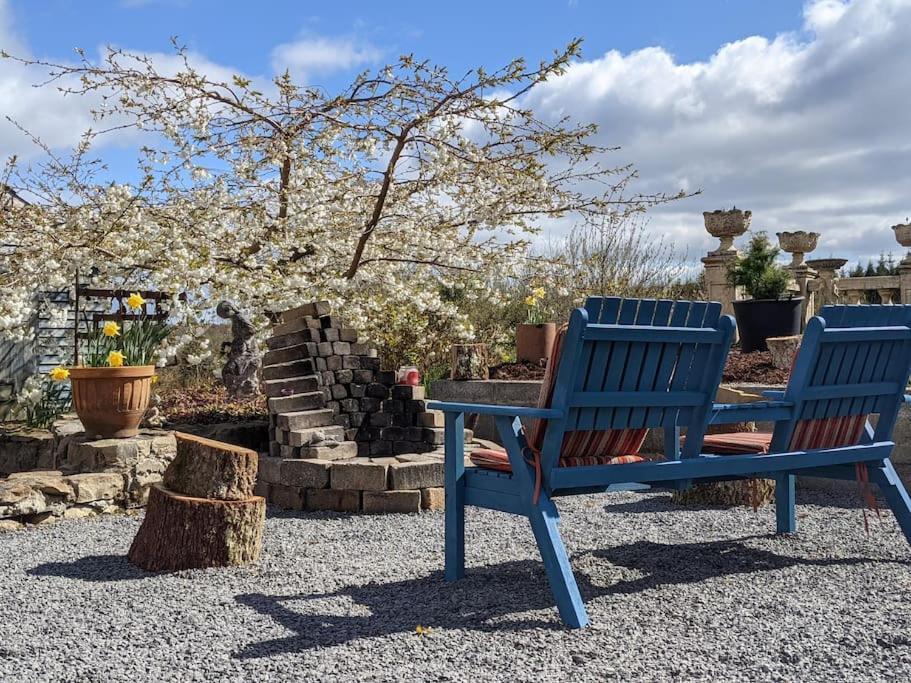 Secluded Private Cottage Hot-Tub, Sauna & Fire-Pit Carrick on Shannon Buitenkant foto